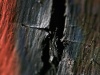 The Cracks