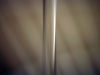 Abstract No 8