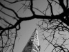 Here is the steeple