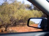 In my, rear view mirror