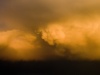 Emerge