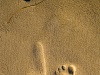 Walking After You