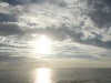 Afternoon Splendour