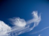 Angels of the Silence