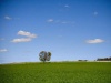 On a Hill II