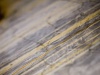 Lines on a Map
