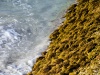 Shore
