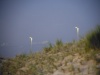 Sentinals