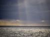 Ray Of Light