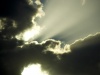 Shine