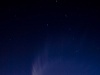 McNaught's Vibrant