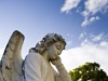 Angel II