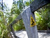 The Guarded Path