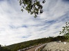 Rail and Road