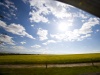 Out My Window