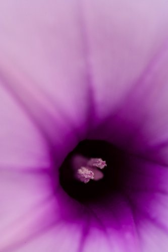 From Within...