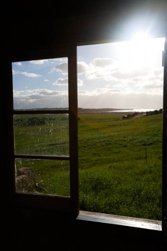 The View