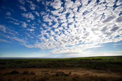 Vista