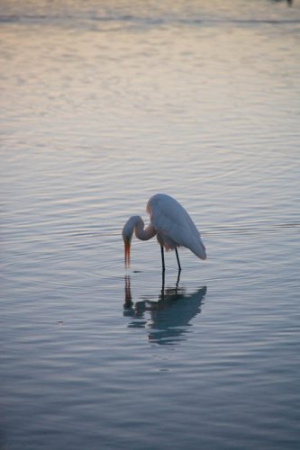 Gone Fishin'