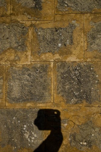 Cast in Stone