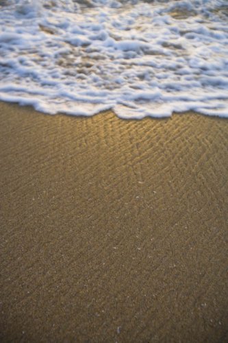 Foam