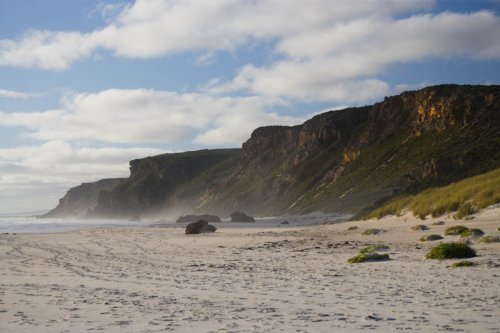 Salmon Beach looking north