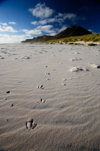 Tiny steps
