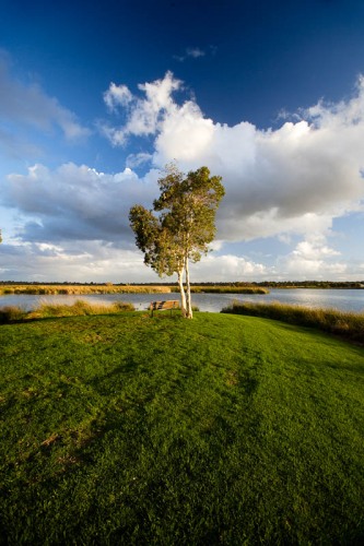 To Every Spring There is a Sprung