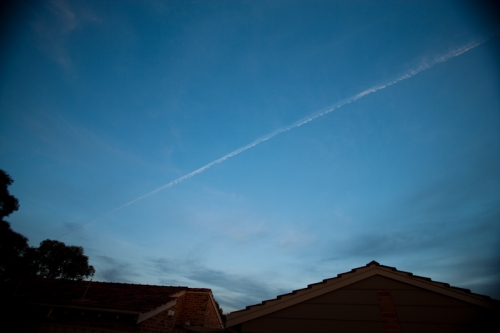 Starlings on the Slipstream