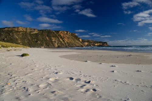 Salmon Beach looking east
