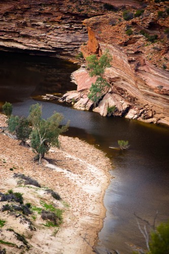 Murchison River