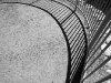 Sprial of Life