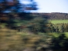 Transportational