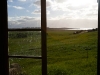 The View