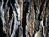 Texture Study A